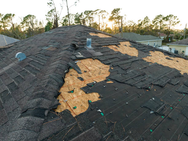 Fast & Reliable Emergency Roof Repairs in Placeholder8